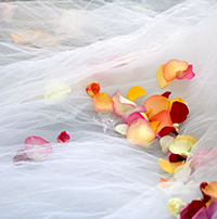 Fotoshooting Regensburg Hochzeit